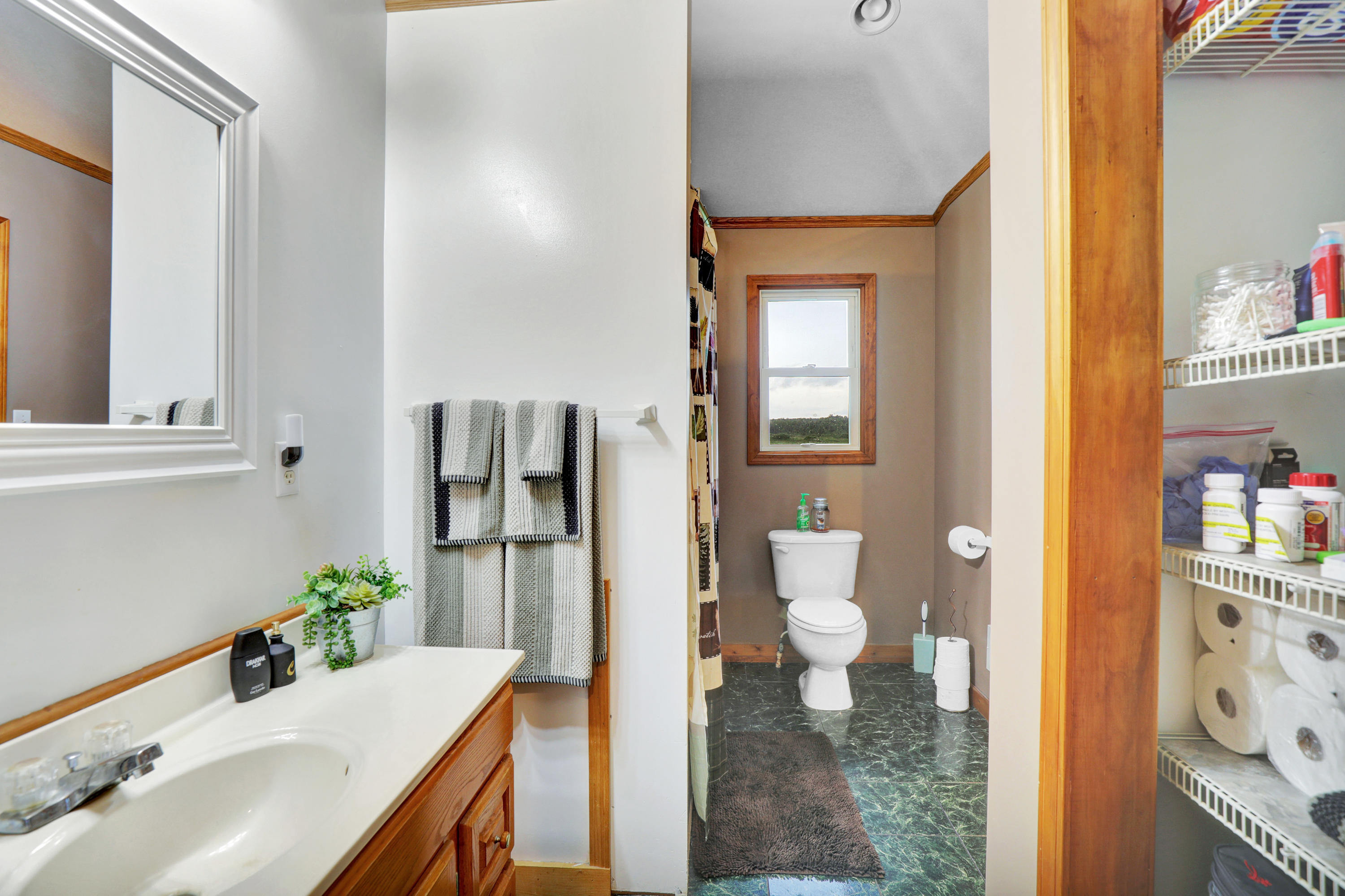 3555 Pease Road South Bellevue, MI 49021 - Photo 20 of 26 Master Bath
