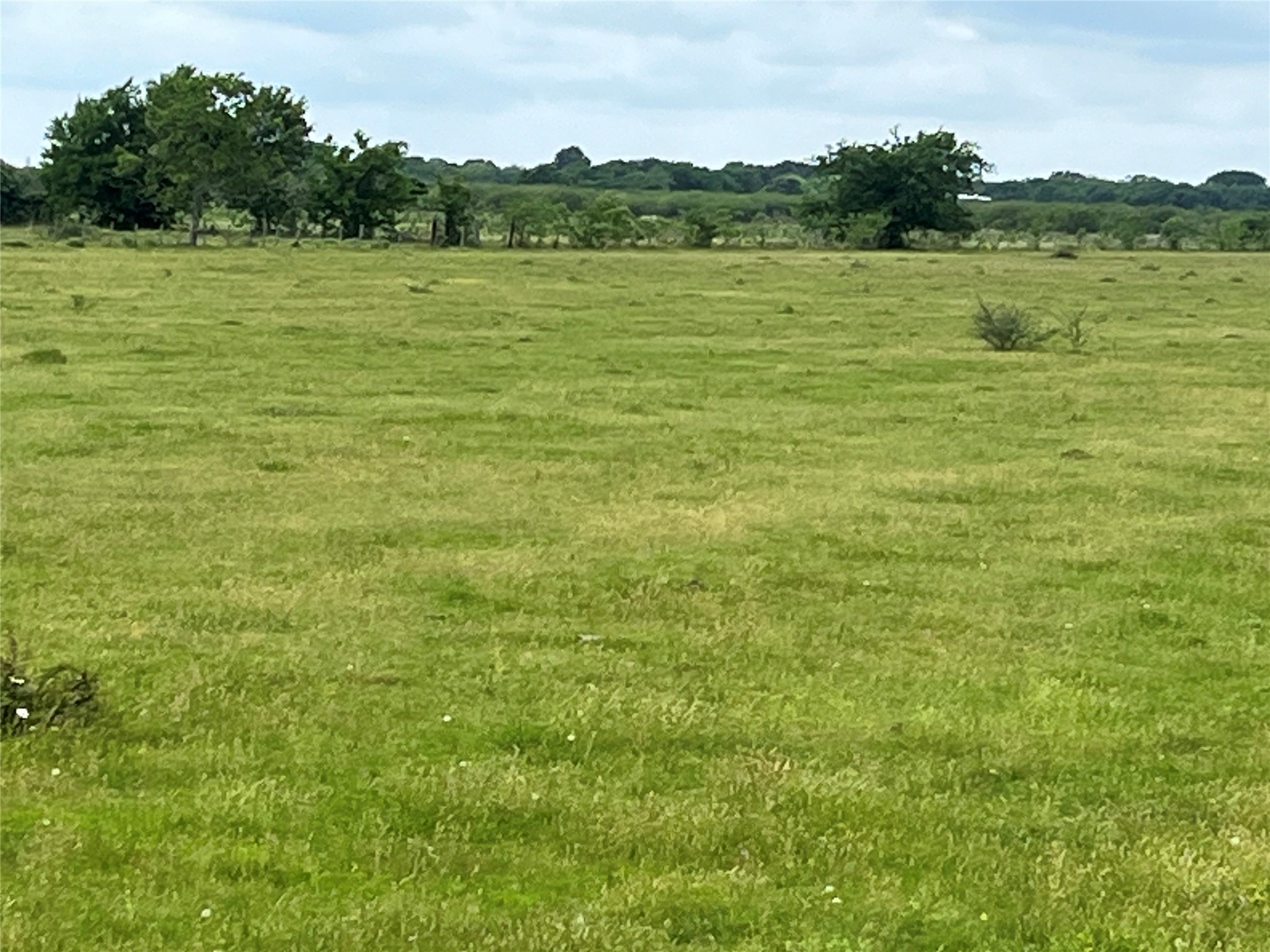 2627 Beasley West End Road Beasley, TX 77417 - Photo 12 of 24
