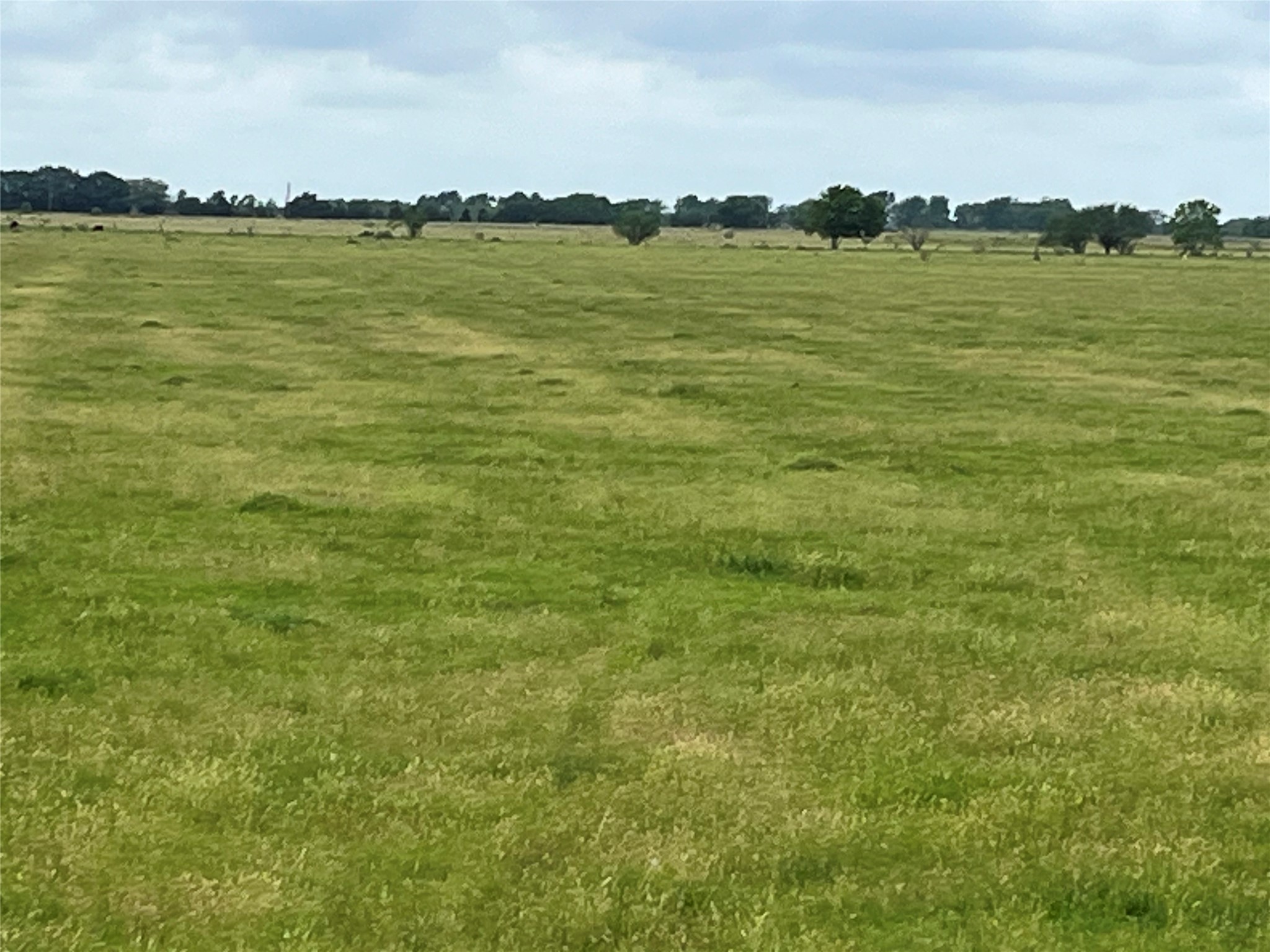 2627 Beasley West End Road Beasley, TX 77417 - Photo 13 of 24