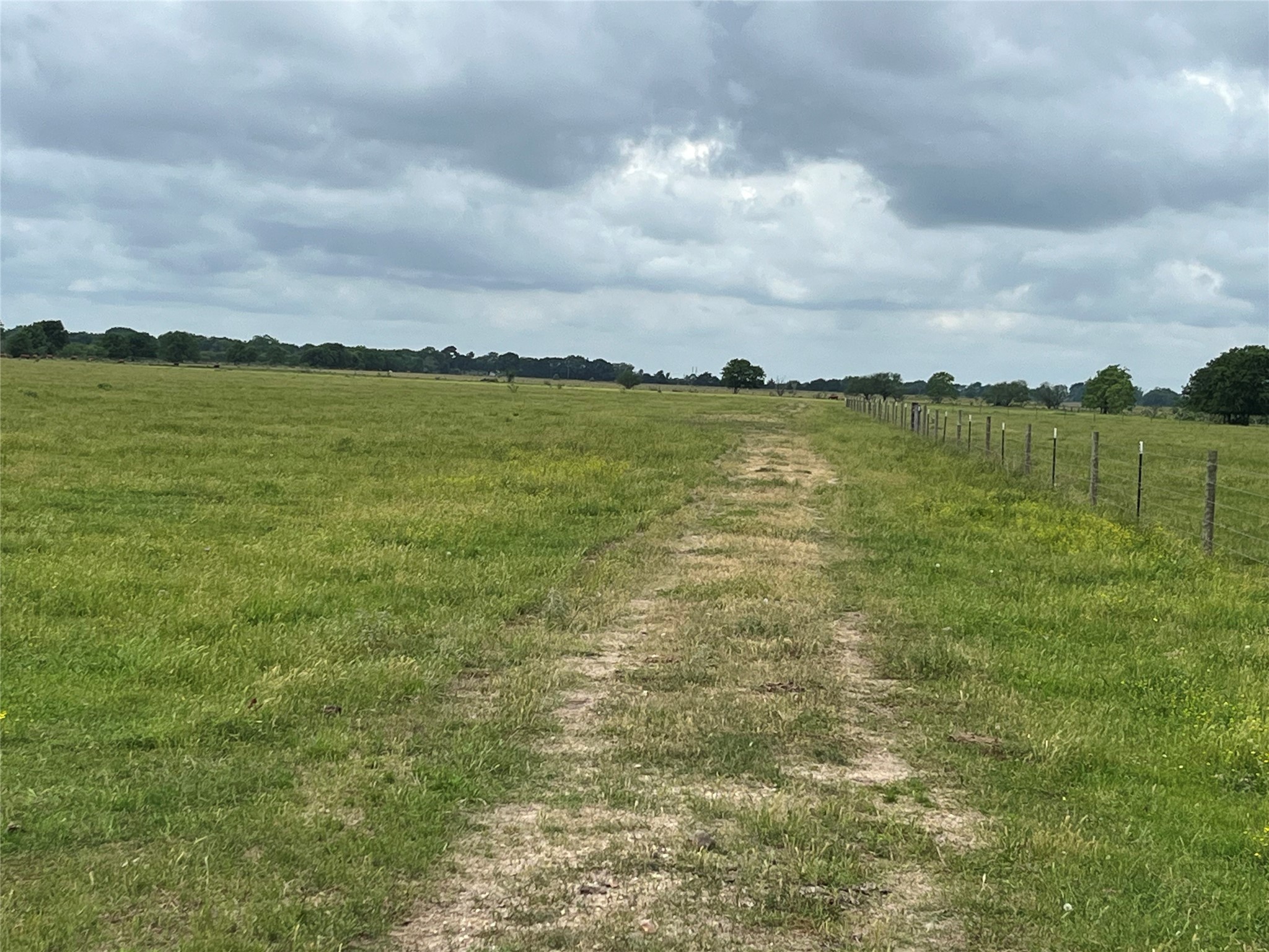 2627 Beasley West End Road Beasley, TX 77417 - Photo 16 of 24