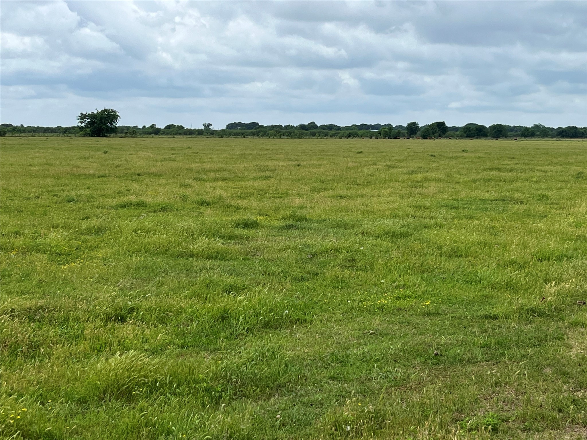 2627 Beasley West End Road Beasley, TX 77417 - Photo 17 of 24
