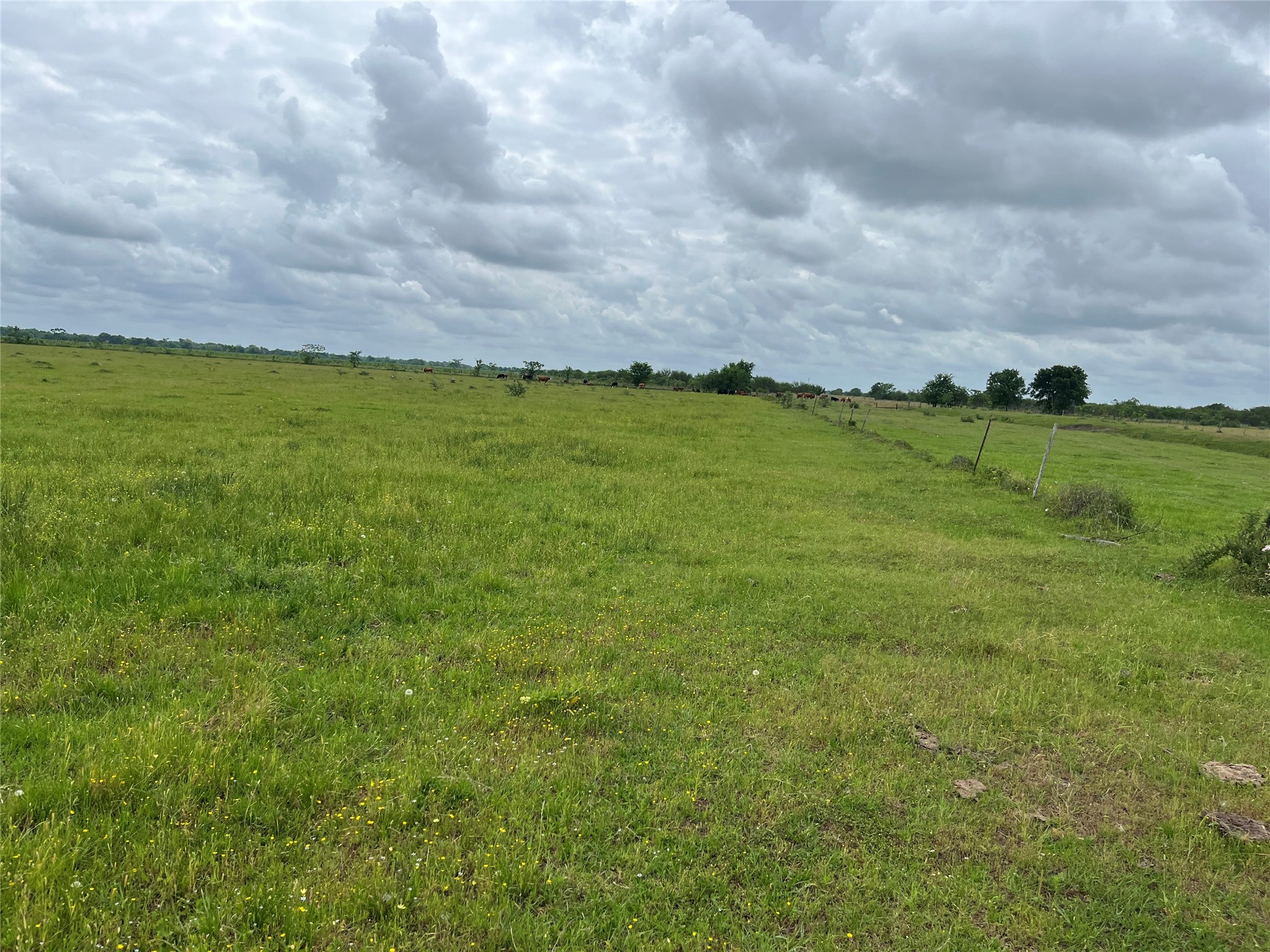 2627 Beasley West End Road Beasley, TX 77417 - Photo 18 of 24