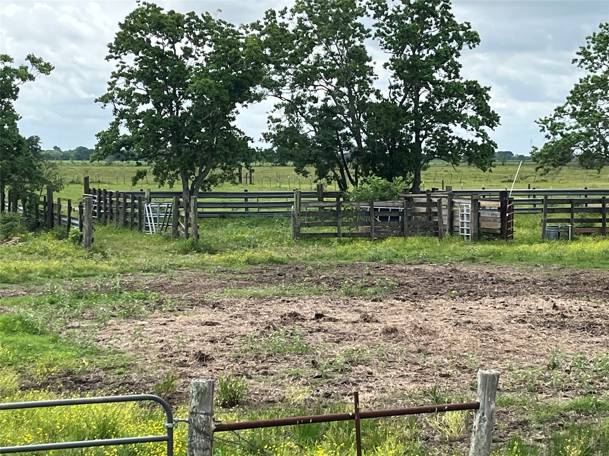 2627 Beasley West End Road Beasley, TX 77417 - Photo 4 of 24
