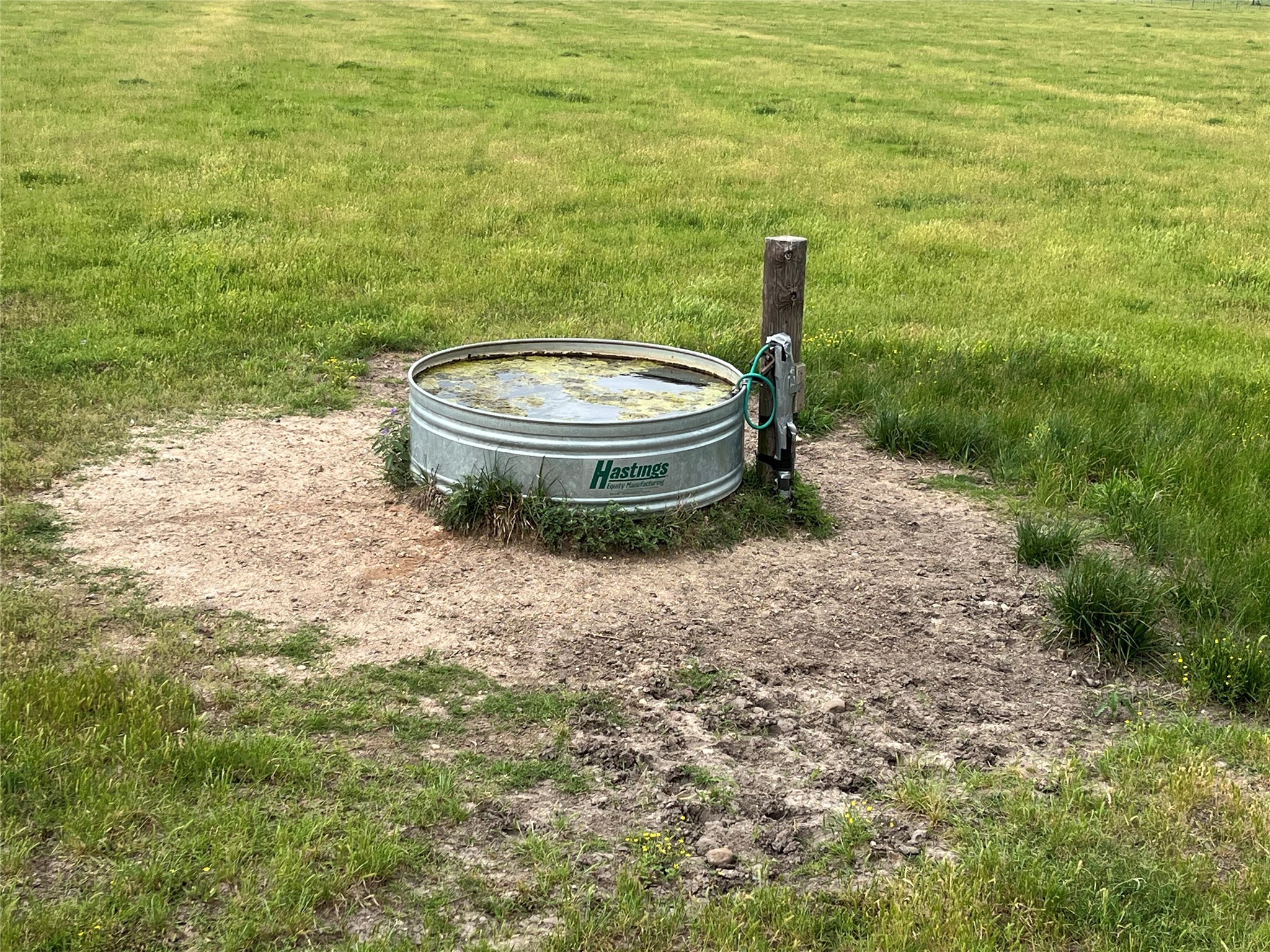 2627 Beasley West End Road Beasley, TX 77417 - Photo 8 of 24