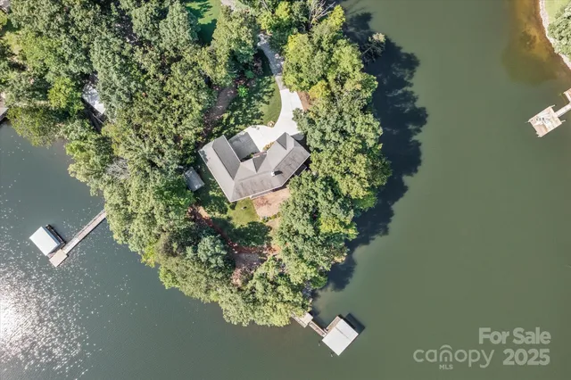 a picture of a tree with a yard