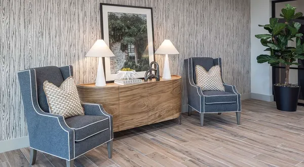 a living room with furniture and a potted plant