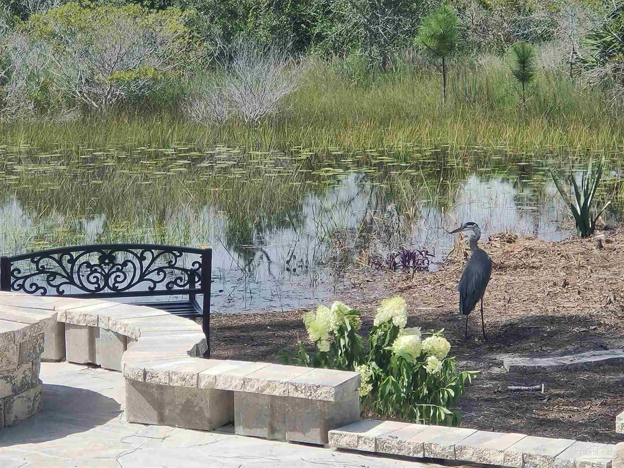 864 Sailfish Court Perdido Key, FL 32507 - Photo 14 of 40 a garden view with a lake view