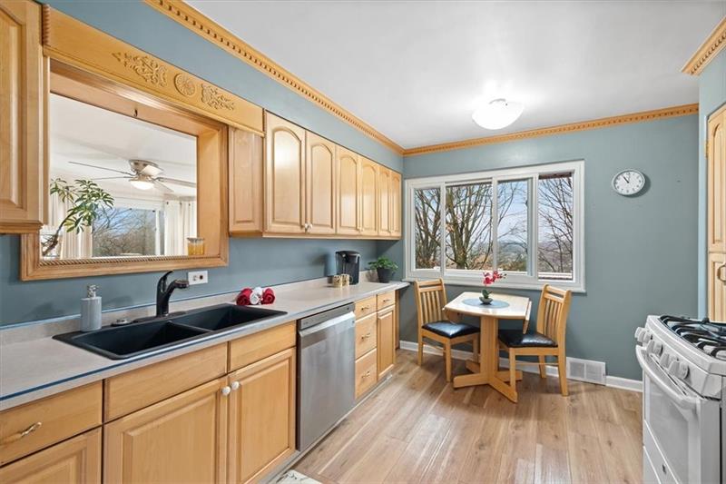 209 Cherokee Road Pittsburgh, PA 15241 - Photo 15 of 41 a kitchen with a sink cabinets and window