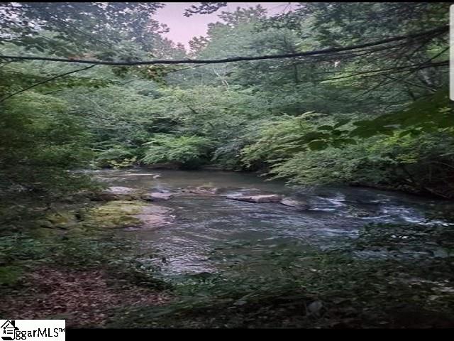 427 Silver Shoals Road Marietta, SC 29661 - Photo 1 of 1 Gallery Image 1