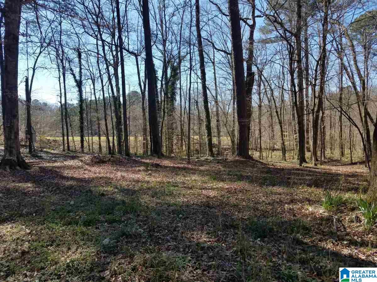 4258 Vfw Road, Unit 6 Pinson, AL 35126 - Photo 3 of 6
