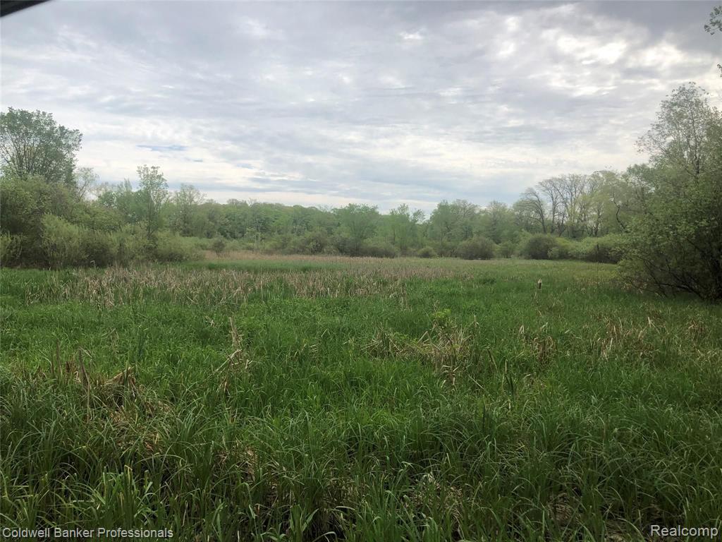 80-ac Mabley Hill Road Fenton, MI 48430 - Photo 3 of 7