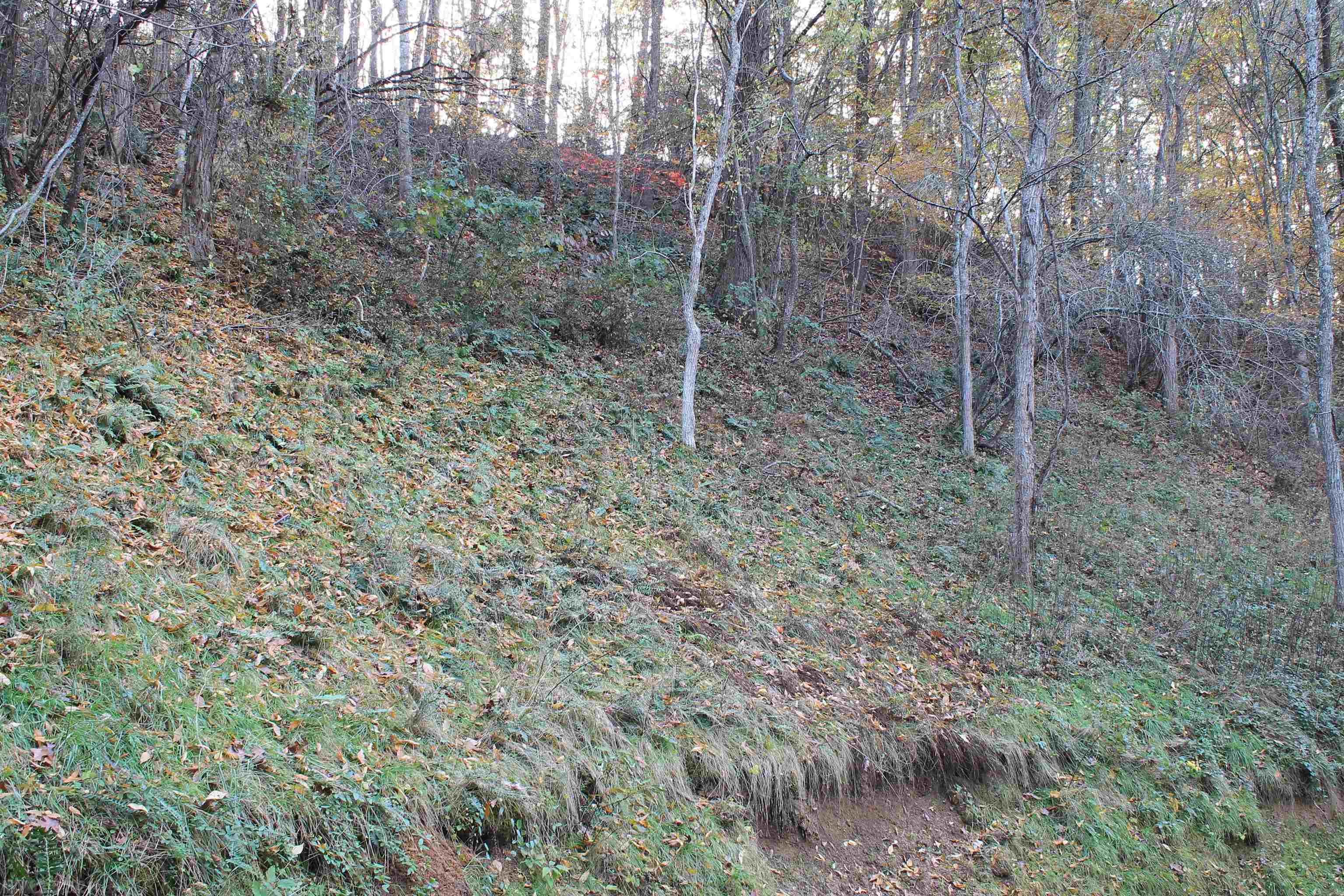 3297 Lowmans Ferry Road Pulaski, VA 24301 - Photo 11 of 33 Gallery Image 11