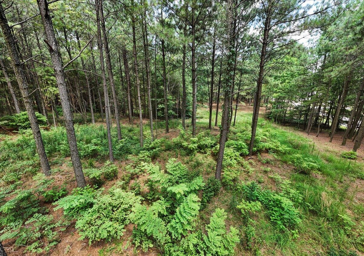 3965 Crockett Point Jasper, TN 37347 - Photo 2 of 14 a view of a garden with trees