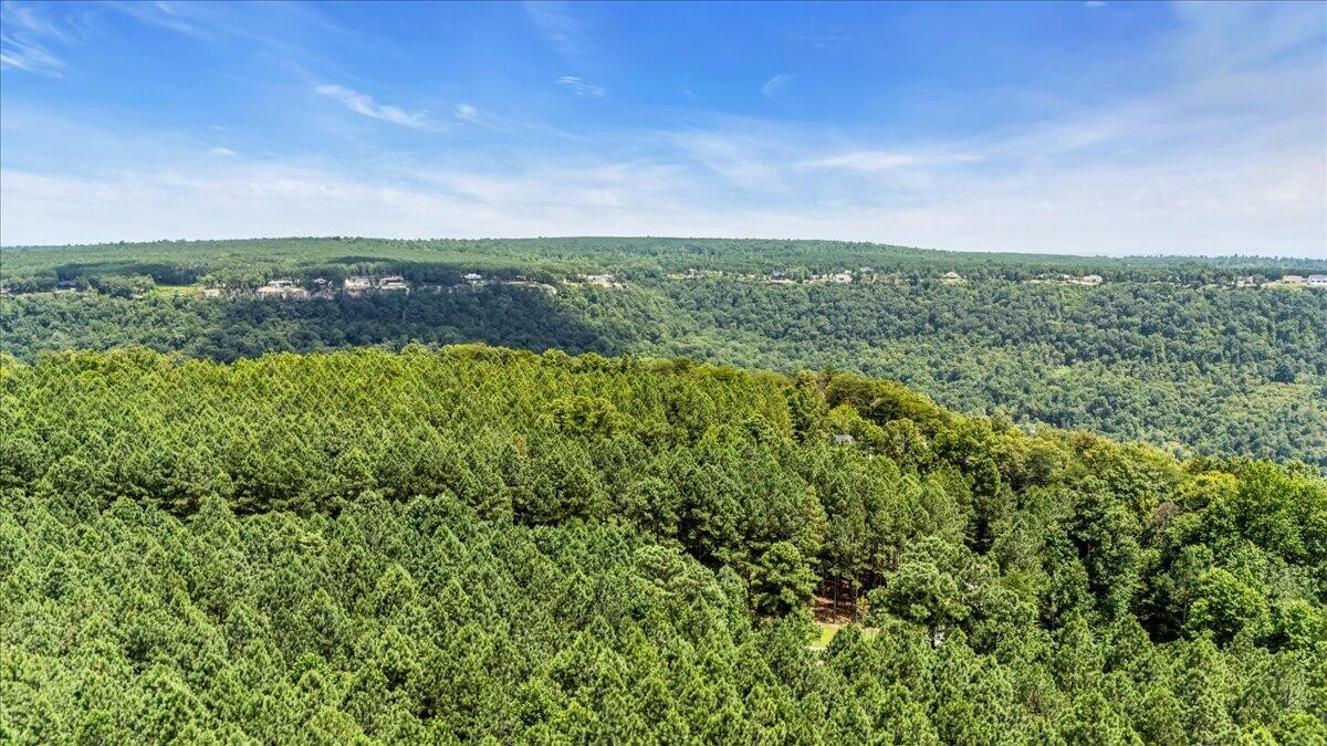 3965 Crockett Point Jasper, TN 37347 - Photo 3 of 14 a view of a field of grass and trees