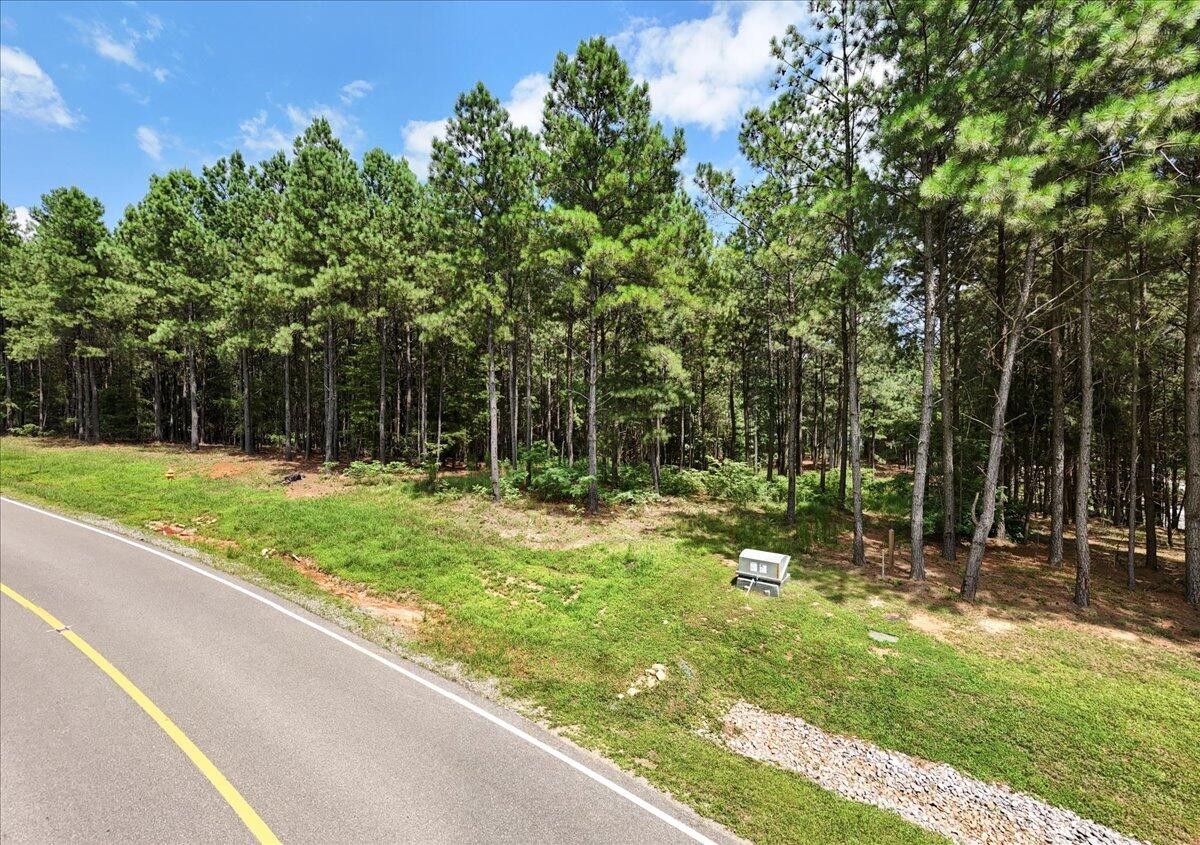3965 Crockett Point Jasper, TN 37347 - Photo 4 of 14 a view of outdoor space