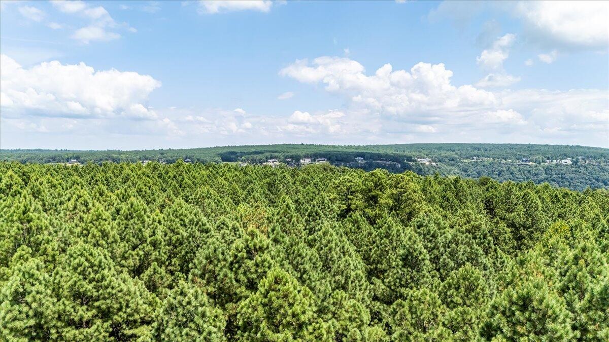 3965 Crockett Point Jasper, TN 37347 - Photo 5 of 14 a view of a yard