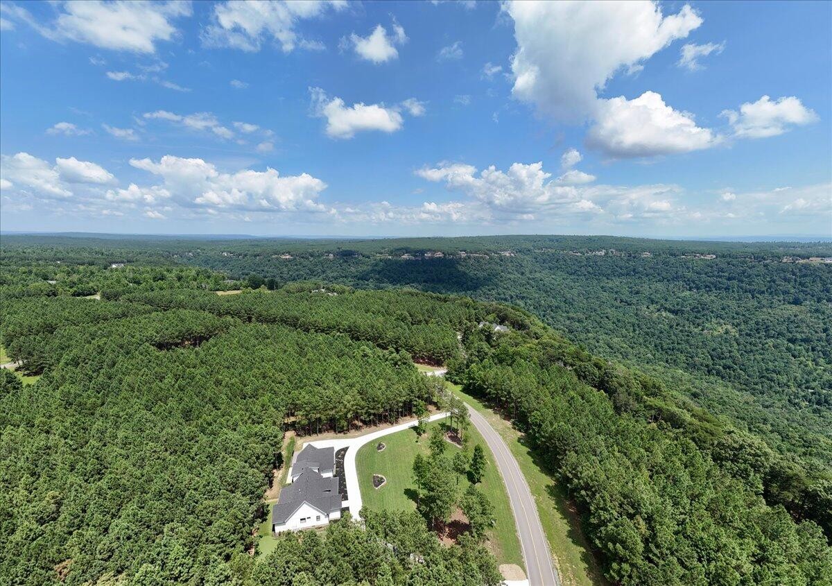 3965 Crockett Point Jasper, TN 37347 - Photo 6 of 14 a view of a city with lush green forest