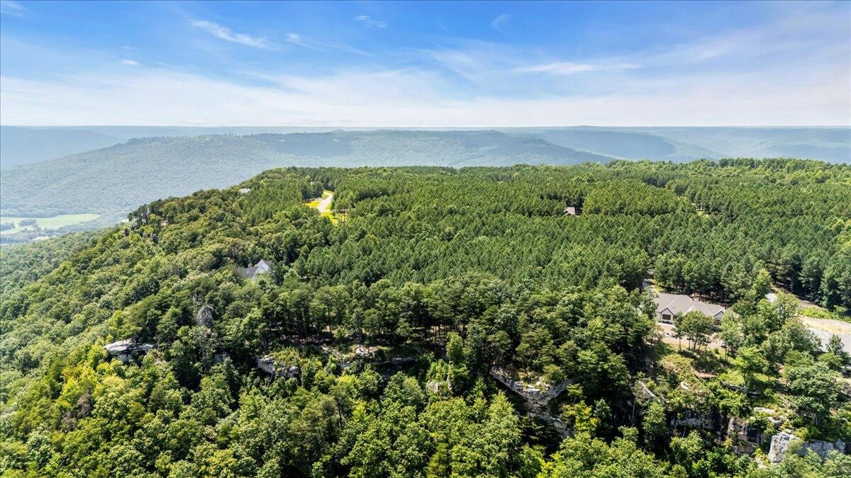 3965 Crockett Point Jasper, TN 37347 - Photo 7 of 14 view of a green field with lots of bushes