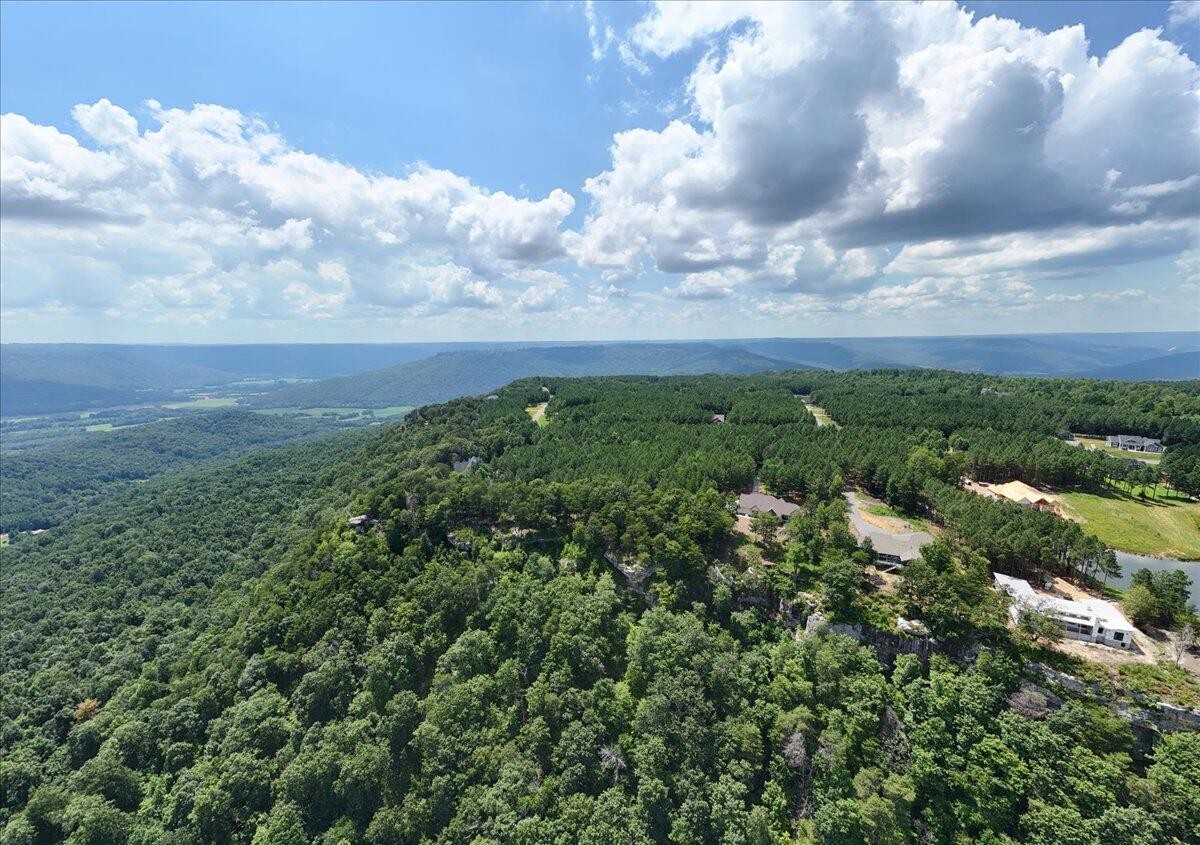 3965 Crockett Point Jasper, TN 37347 - Photo 8 of 14 a view of a bunch of trees