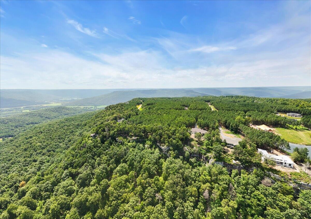 3965 Crockett Point Jasper, TN 37347 - Photo 9 of 14