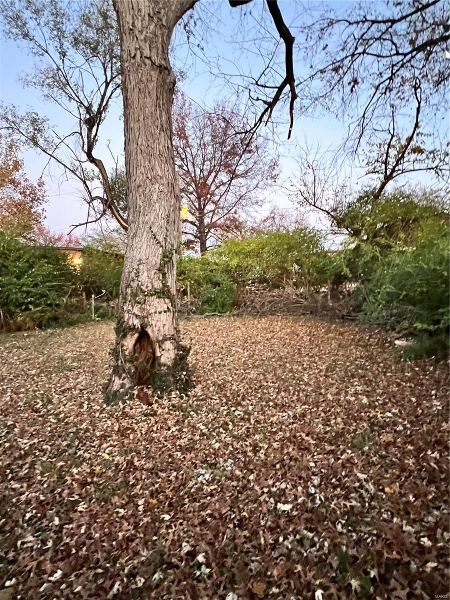 3532 Wismer Road St. Ann, MO 63074 - Photo 8 of 8