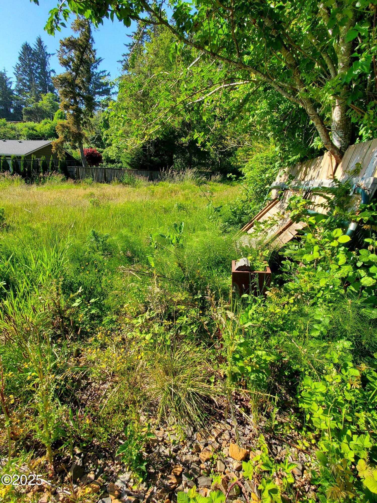 Tl1508 Northeast East Devils Lake Road Otis, OR 97368 - Photo 4 of 7 20250607_171023