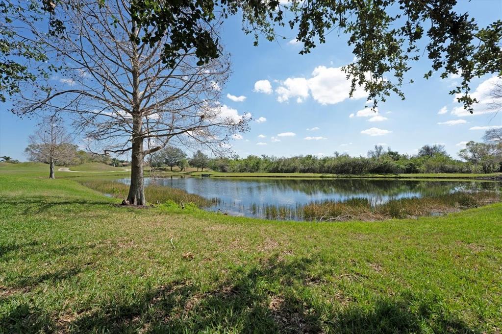 12708 Stone Ridge Place Lakewood Ranch, FL 34202 - Photo 40 of 54 Gallery Image 40