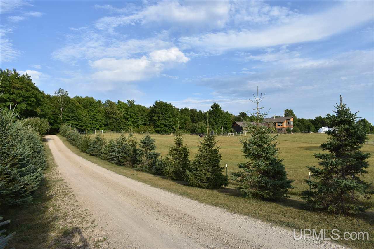 4724 Takkinen Road Chatham, MI 49816 - Photo 17 of 50 Gallery Image 17