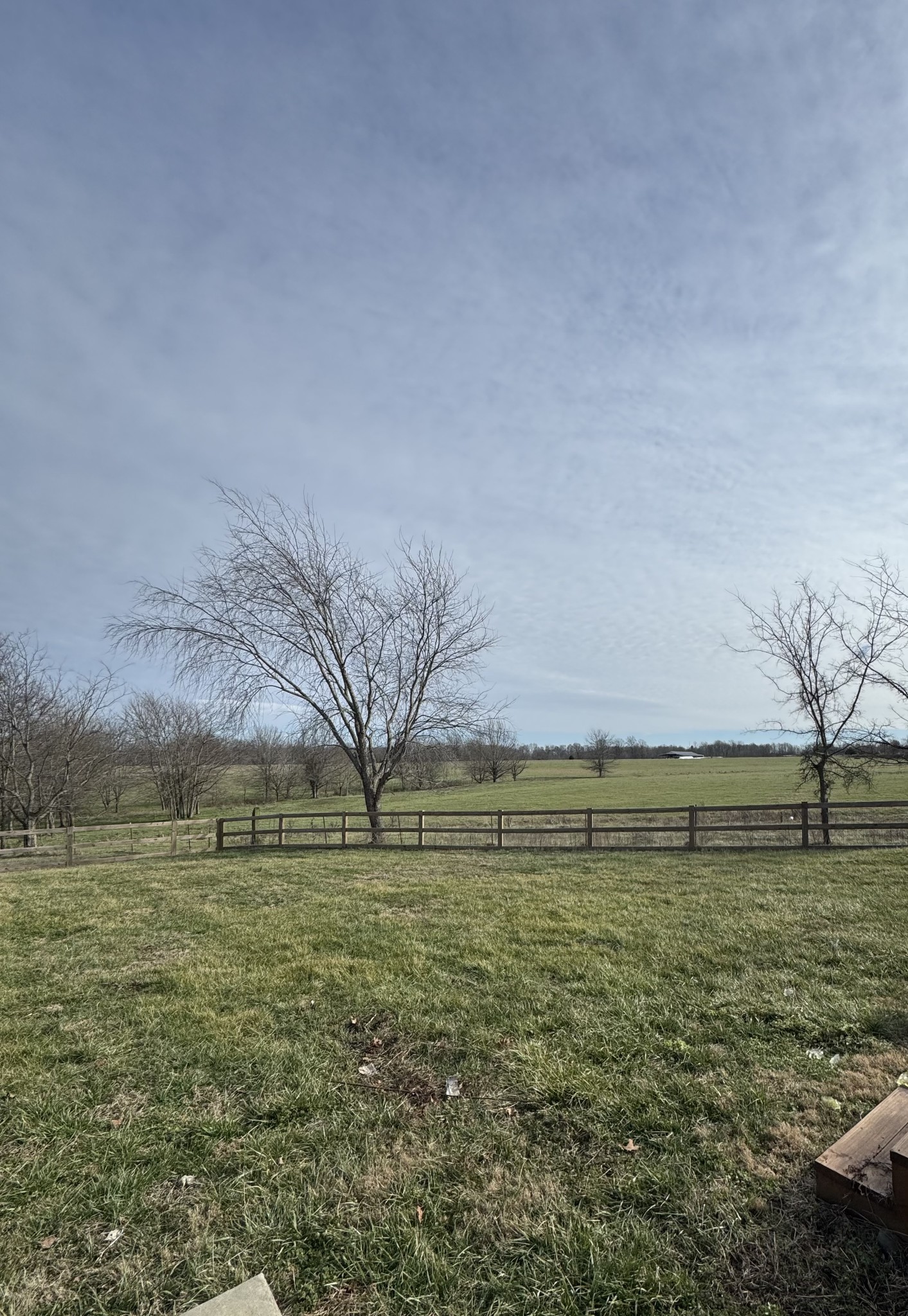 800 Pea Ridge-Sharon Grove Road Elkton, KY 42220 - Photo 41 of 43 a view of a green field with an trees