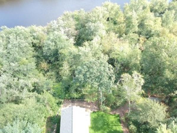 6 Edgehill Road Billerica, MA 01862 - Photo 5 of 24 a view of a yard with a tree