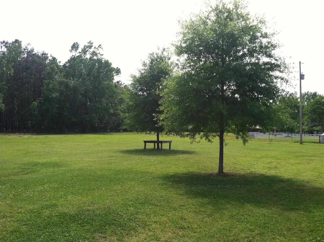 501 Davis Road Hemingway, SC 29554 - Photo 13 of 14