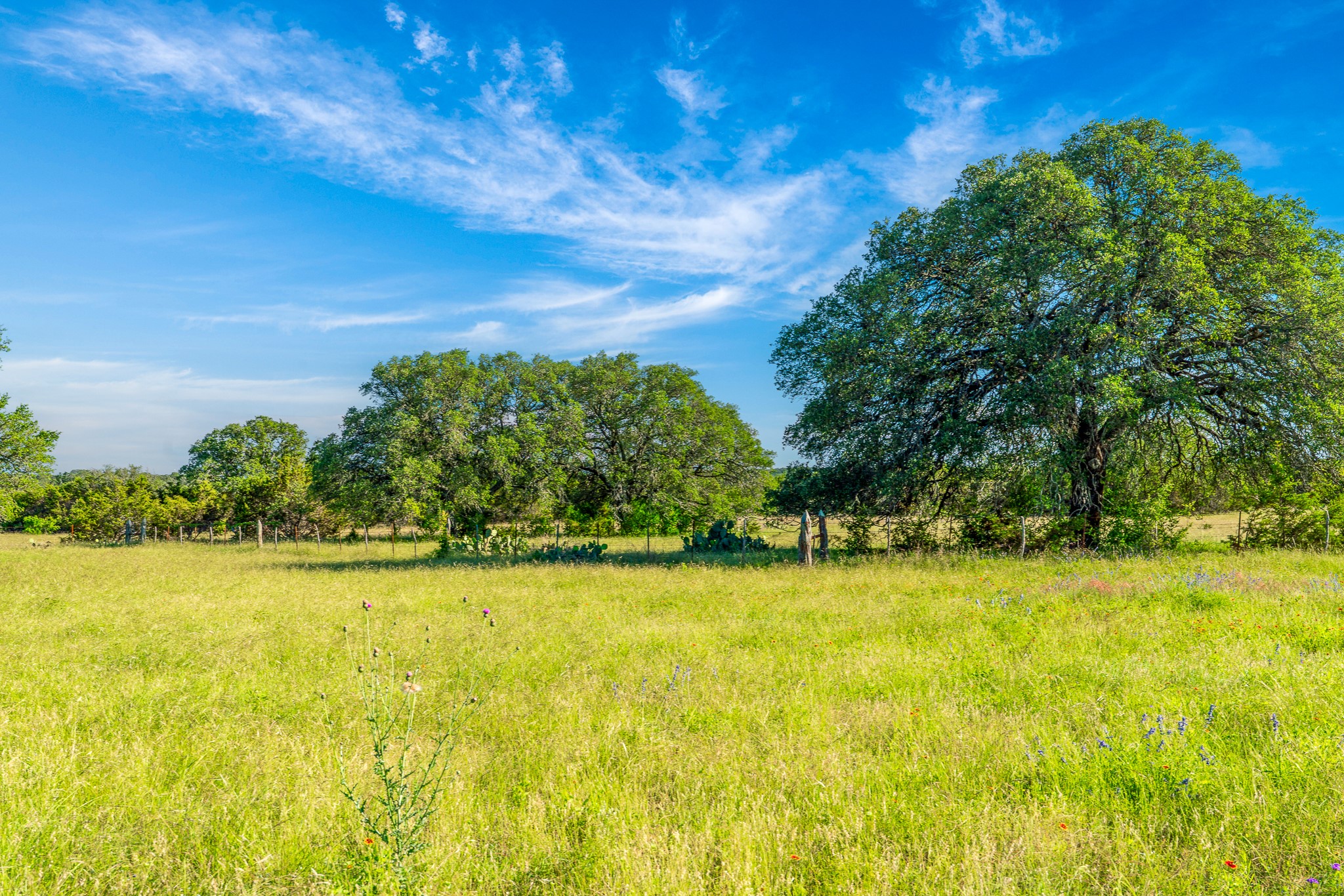 32 Feild Ranch Road Burnet, TX 78611 - Photo 17 of 40 Acres of verdant grassland and mature trees under an endless sky.