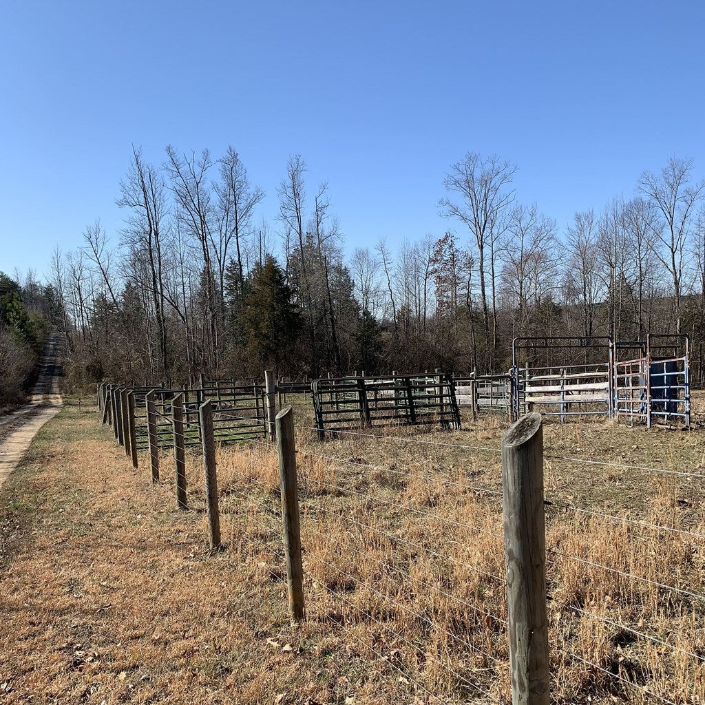Cuckoo Road Mineral, VA 23117 - Photo 3 of 3 Gallery Image 3