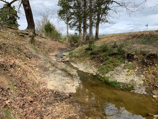 0 Frontage Road Russell Springs, KY 42642 - Photo 9 of 16 9