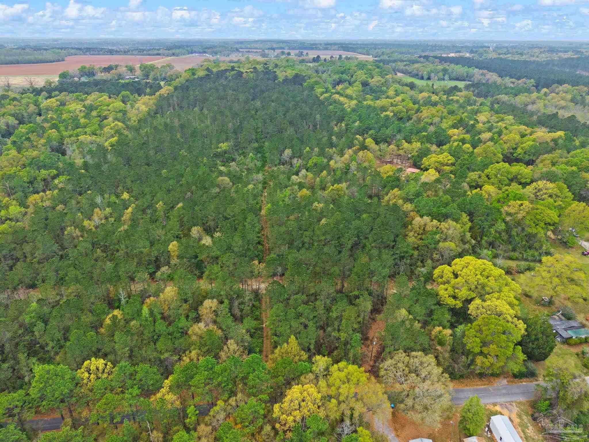 0 Tom Shivers Road Flomaton, AL 36441 - Photo 17 of 23 Gallery Image 17