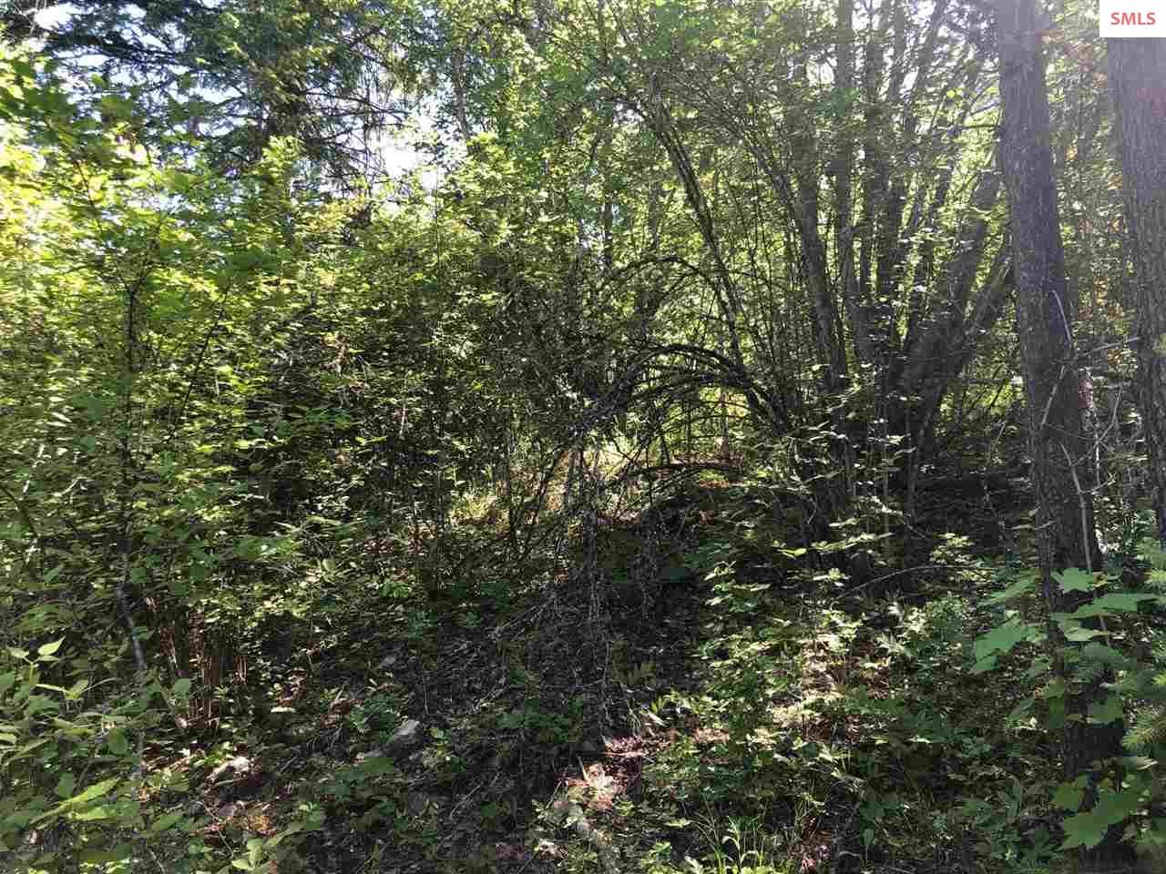 20-acres Highlands Road Sandpoint, ID 83864 - Photo 10 of 20 Gallery Image 10