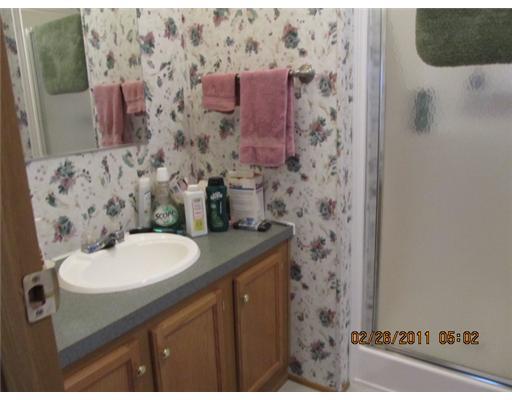 1207 Creek Road Sandy Lake, PA 16145 - Photo 10 of 18 Master Bath/Spa. House has 2 full baths. This is the main bath which has a garden tub and stand alone shower.