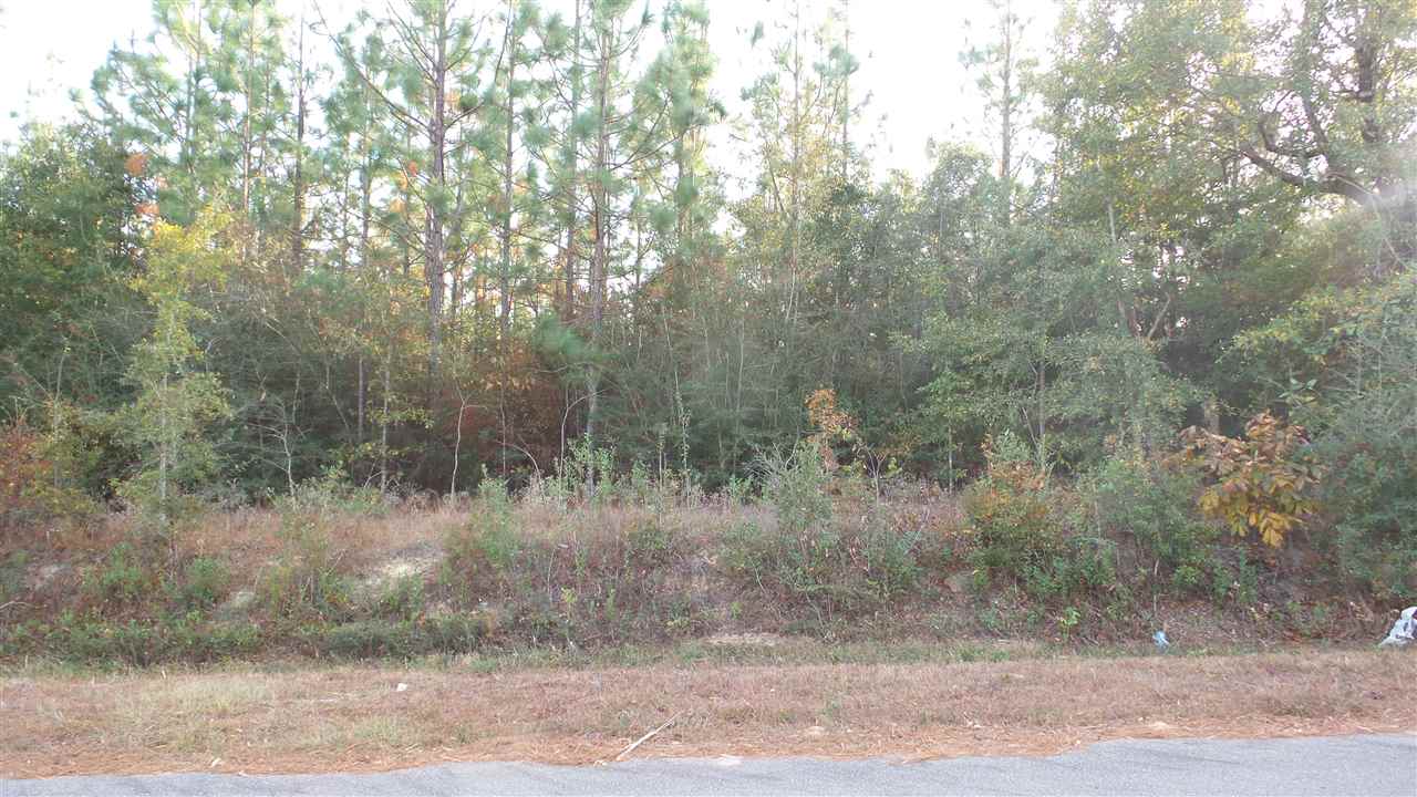 1 Dobson Road Jay, FL 32565 - Photo 1 of 10 Gallery Image 1