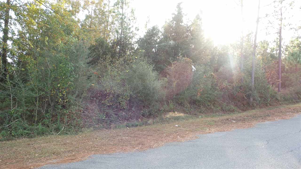 1 Dobson Road Jay, FL 32565 - Photo 2 of 10 Gallery Image 2