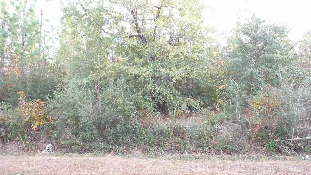 1 Dobson Road Jay, FL 32565 - Photo 3 of 10 Gallery Image 3