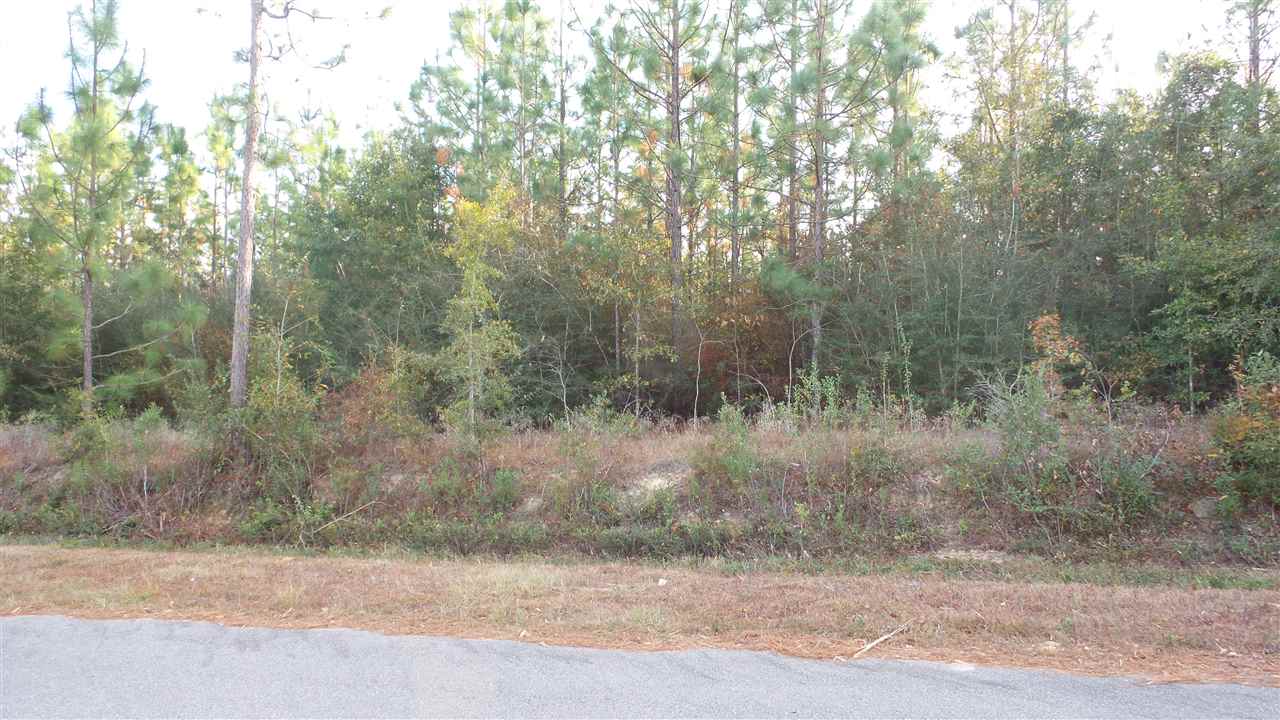 1 Dobson Road Jay, FL 32565 - Photo 4 of 10 Gallery Image 4