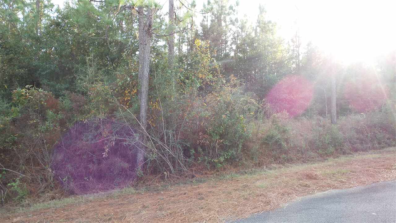 1 Dobson Road Jay, FL 32565 - Photo 5 of 10 Gallery Image 5