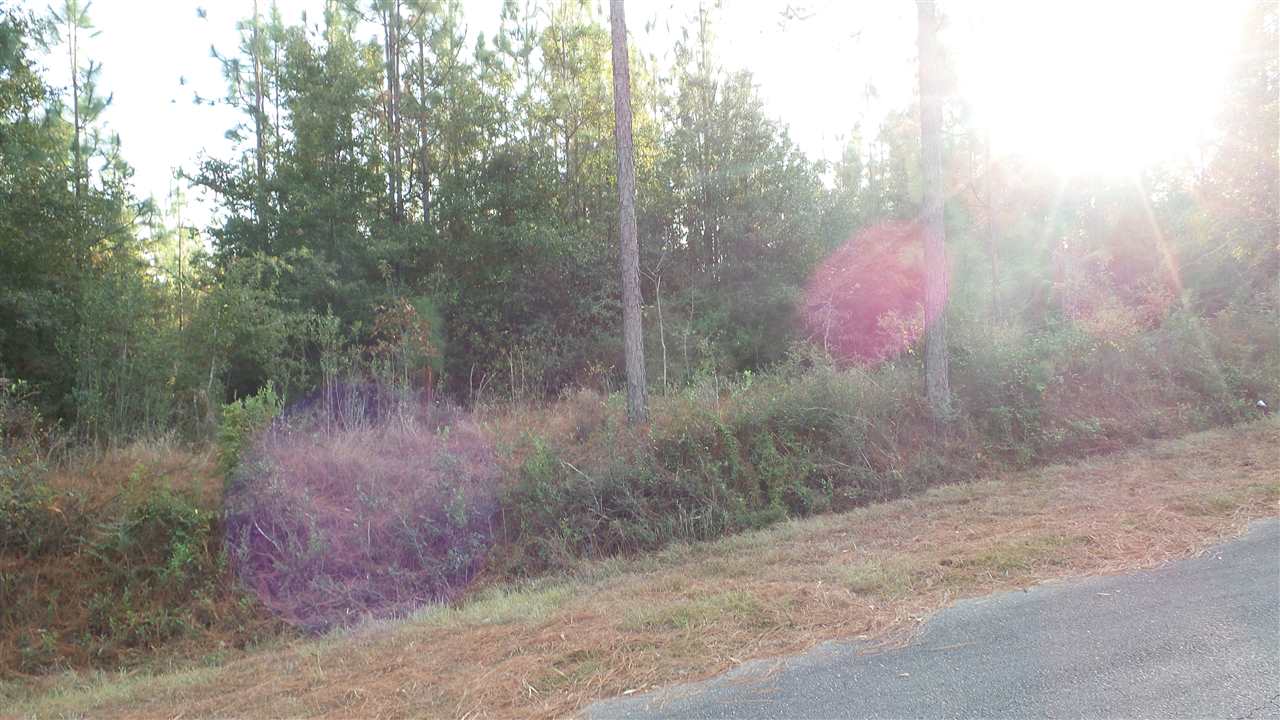 1 Dobson Road Jay, FL 32565 - Photo 6 of 10 Gallery Image 6