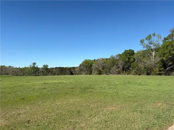 $75,000 | 0 Bridger Avenue, Loranger, LA 70446