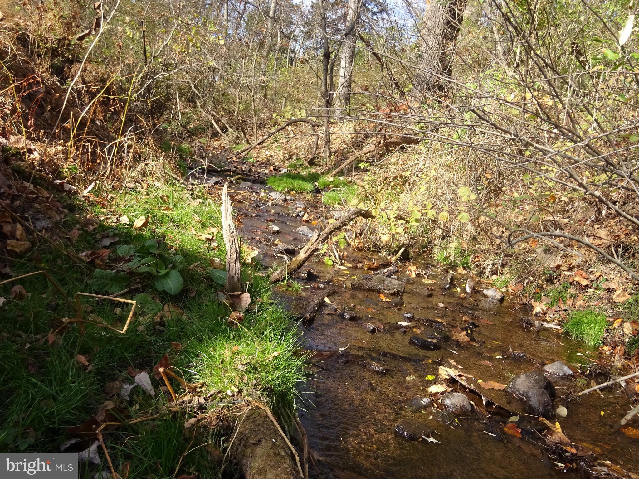 72 Kremp Road Mohnton, PA 19540 - Photo 49 of 55 Creek