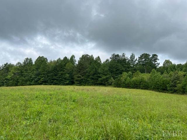 0 Piney Mountain Road Appomattox, VA 24522 - Photo 1 of 16 Gallery Image 1