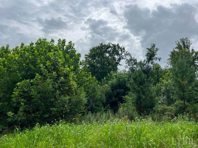 0 Piney Mountain Road Appomattox, VA 24522 - Photo 11 of 16 Gallery Image 11