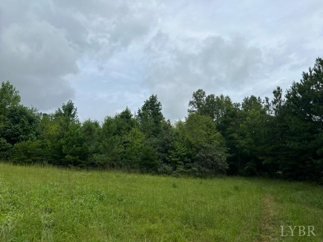 0 Piney Mountain Road Appomattox, VA 24522 - Photo 12 of 16 Gallery Image 12