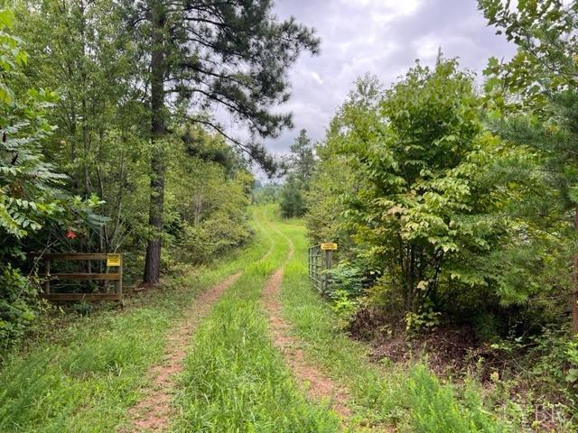 0 Piney Mountain Road Appomattox, VA 24522 - Photo 13 of 16 Gallery Image 13