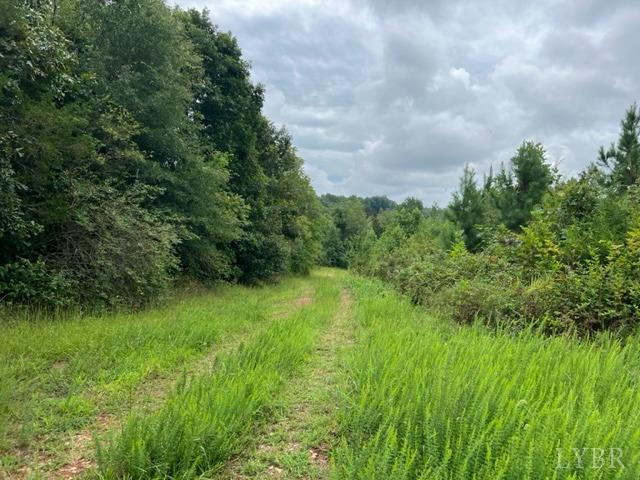 0 Piney Mountain Road Appomattox, VA 24522 - Photo 14 of 16 Gallery Image 14